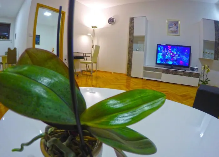 Apartmani Oletic 4*