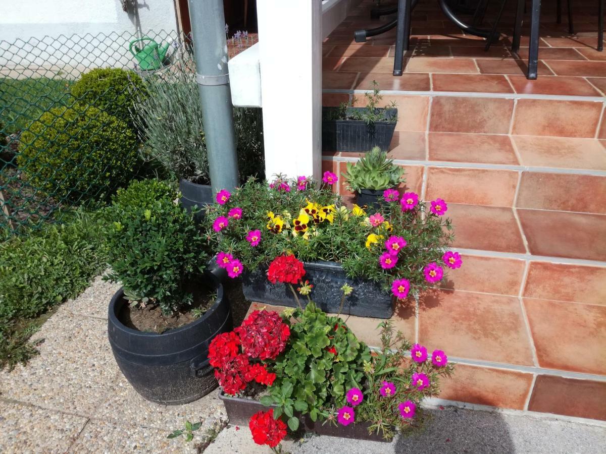 Apartment Oletic 4* Sveti Martin Na Muri
